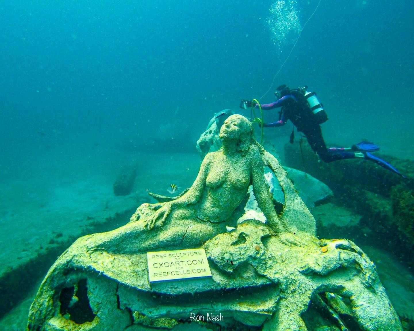 1000 Mermaids