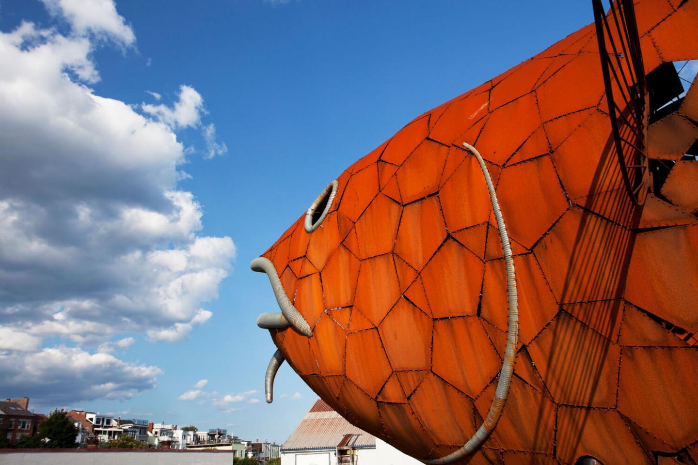 Harbor Arts
