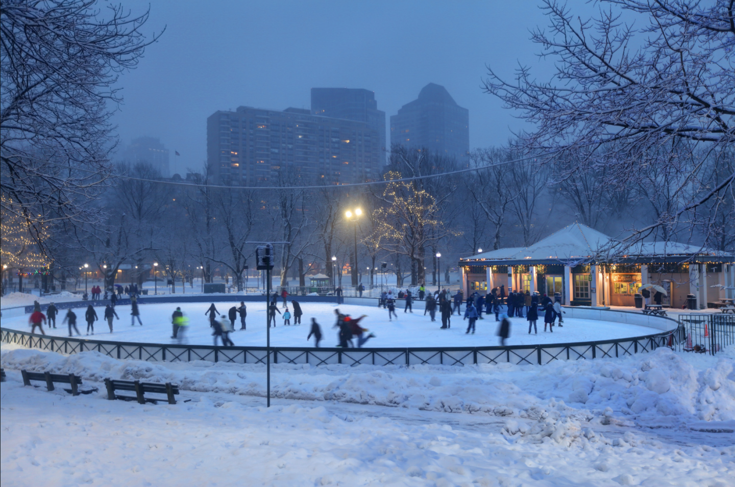 Ice Skating at Frog Pond