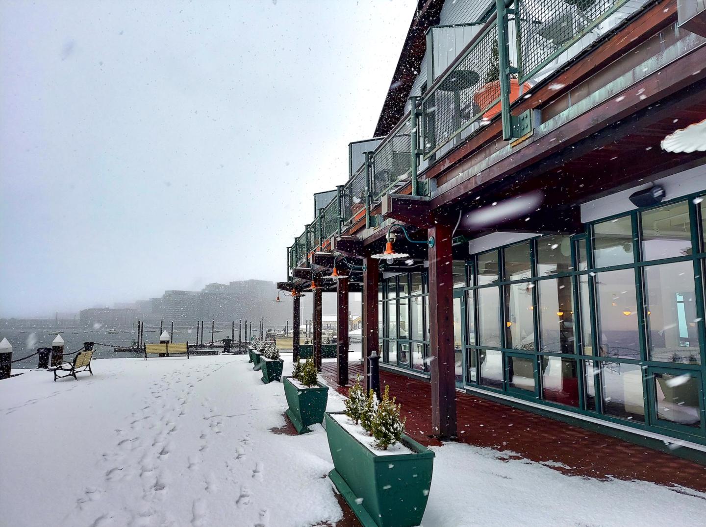 Boston Yacht Haven in the snow
