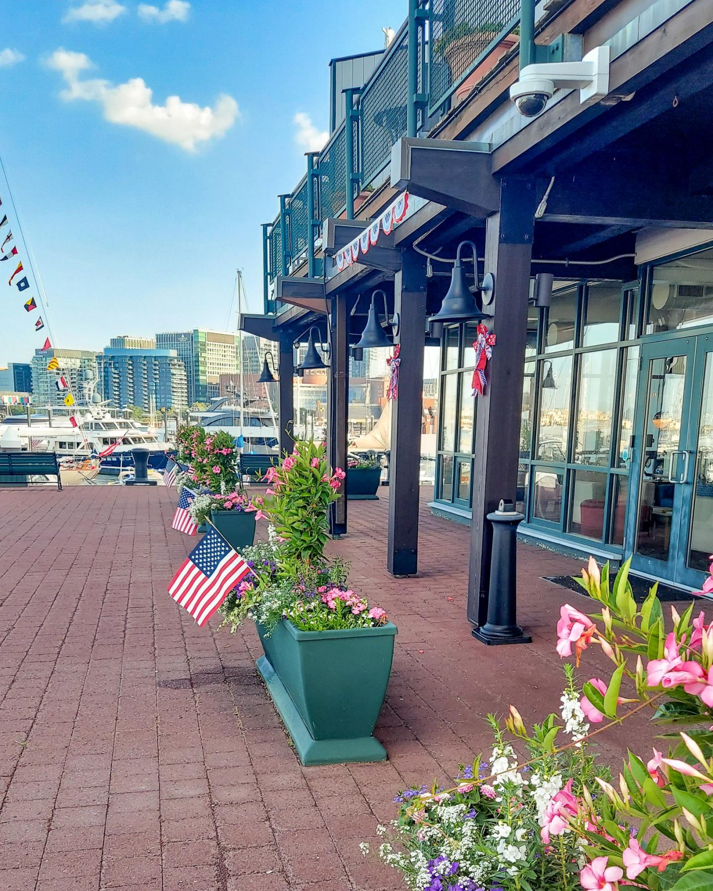 Summer at Boston Yacht Haven